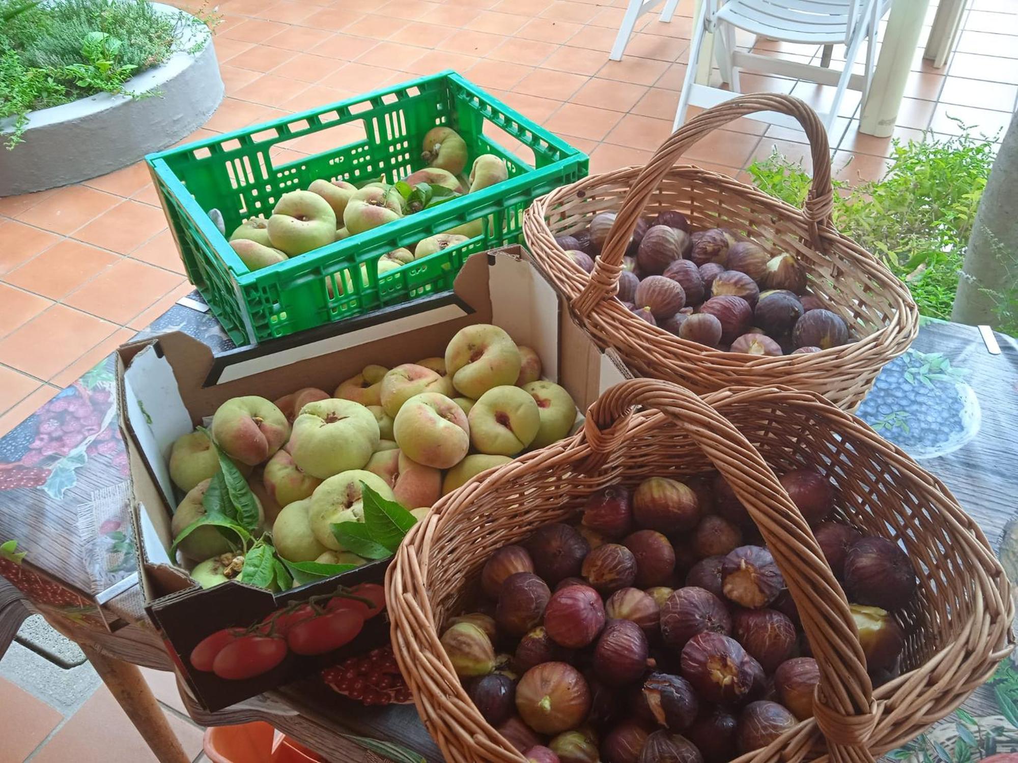 Locanda Dell'Amicizia Seccheto Zewnętrze zdjęcie