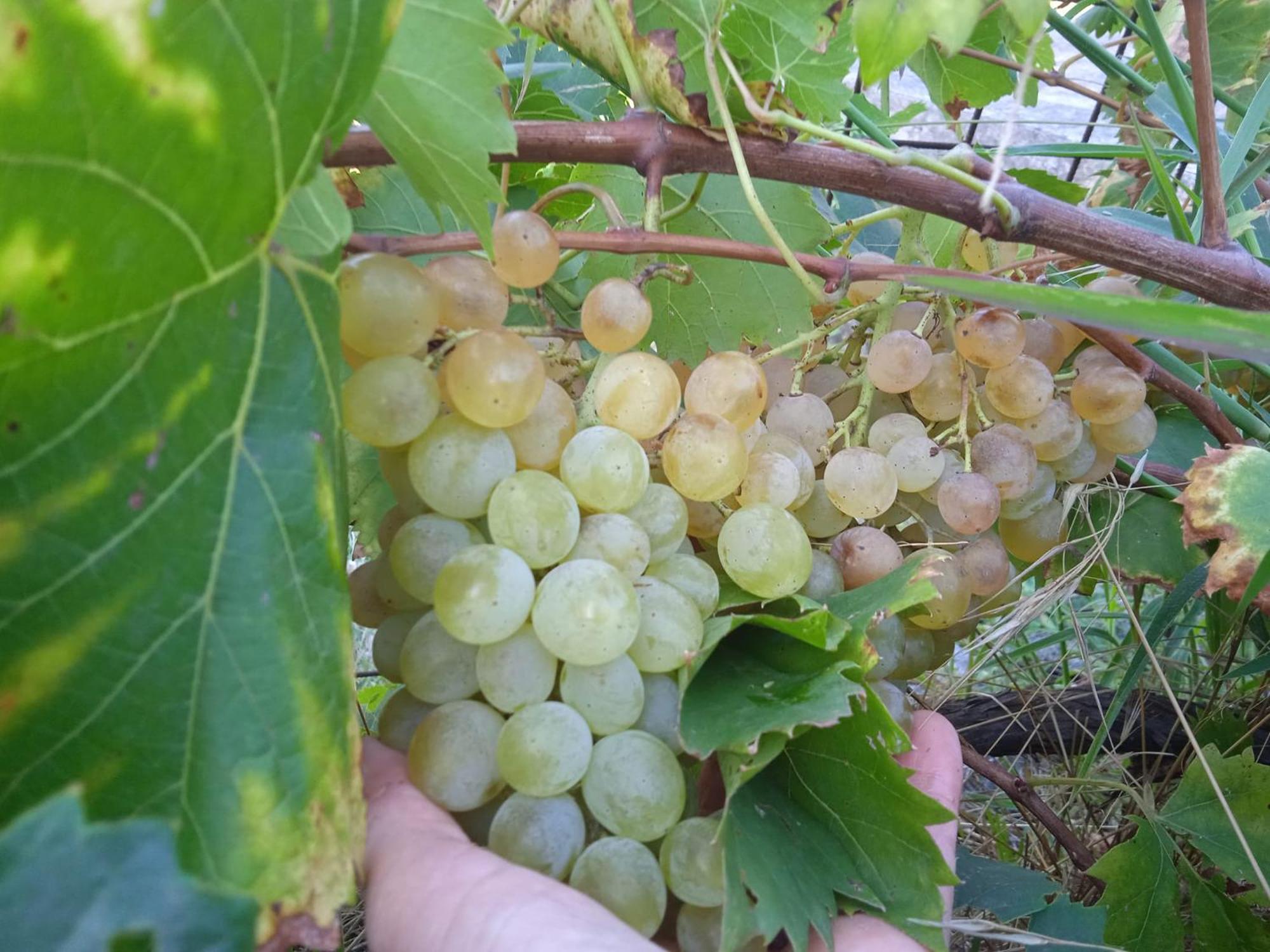 Locanda Dell'Amicizia Seccheto Zewnętrze zdjęcie