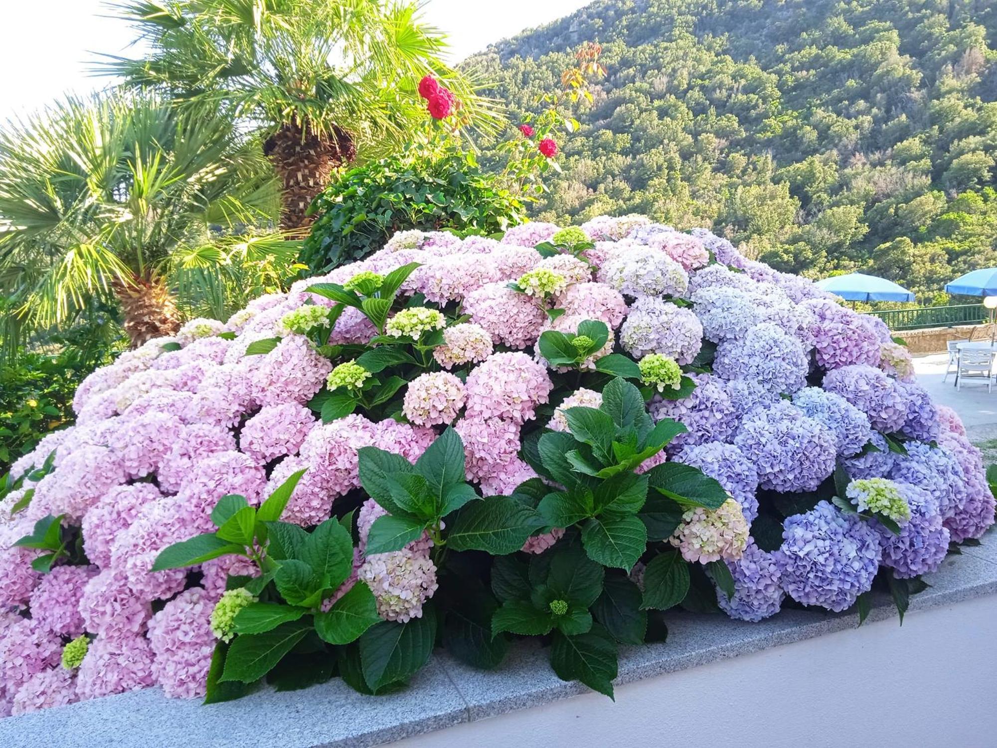 Locanda Dell'Amicizia Seccheto Zewnętrze zdjęcie