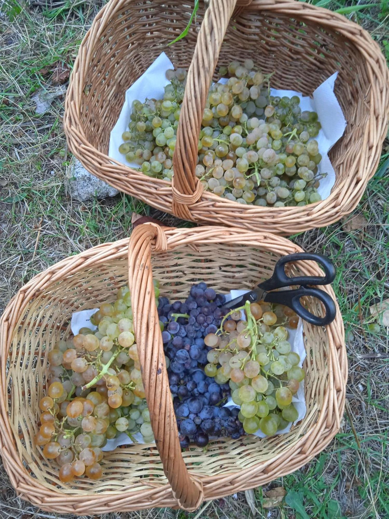 Locanda Dell'Amicizia Seccheto Zewnętrze zdjęcie