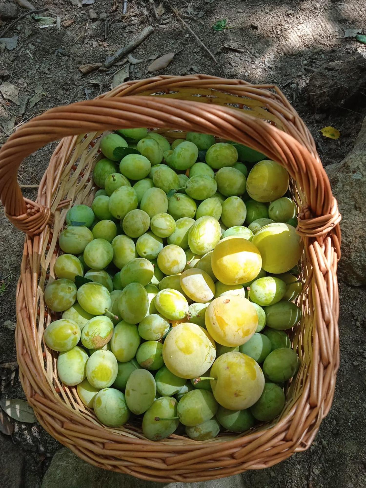 Locanda Dell'Amicizia Seccheto Zewnętrze zdjęcie